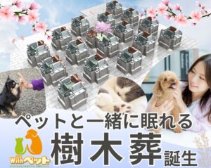 ペットと一緒に眠れる樹木葬　2025年9月オープン｜長慶山富光寺